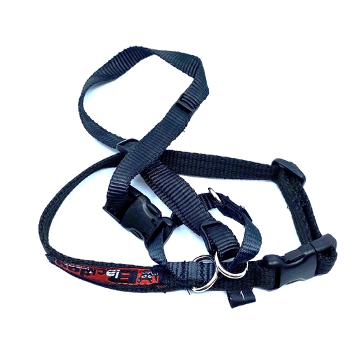 Black Dog Haltermate Halter - Size 4 - Black