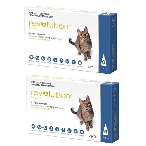 Revolution for Cats 2.6-7.5 kgs - 12 Pack - Blue