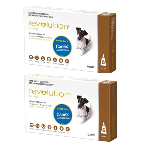 Revolution for Dogs 5.1-10 kgs - 12 Pack - Brown - 2 Extra Vials Free
