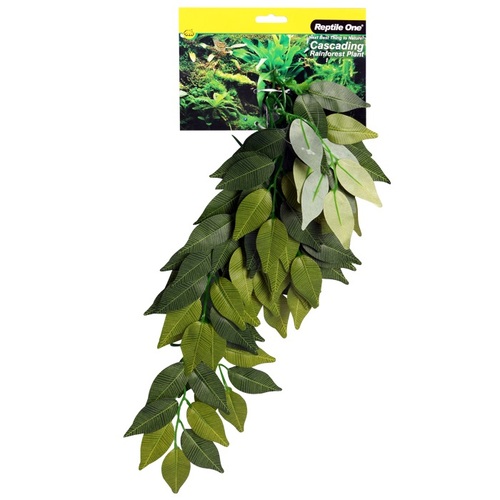 Reptile One Varigated Ivy Cascading Plant - Green