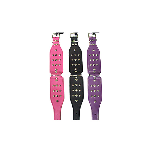 Studded Staffy Dog Collar - 55cm