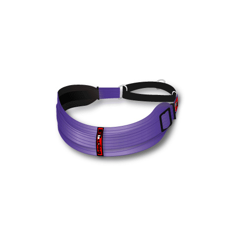 Black Dog Sighthound Collar - (36cm-46cm)(Black Dog Sighthound Collar Colour:Purple)