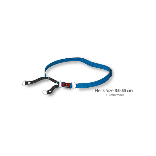 Black Dog Training Collar Heavy Duty - Large - 25mm x 49-68cm