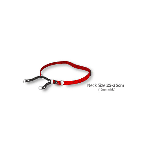 Black Dog Training Collar Heavy Duty - Medium