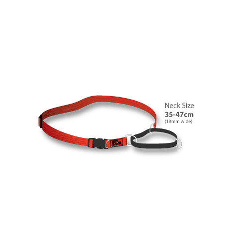 Black Dog Training Collar - Large