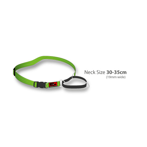 Black Dog Training Collar - Medium