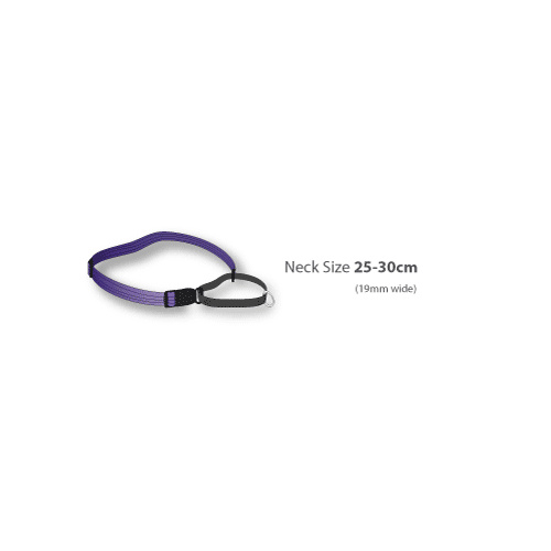 Black Dog Training Collar - Small