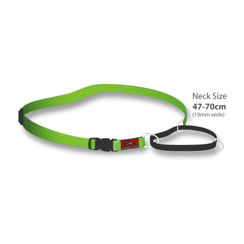 Black Dog Training Collar - Extra Large