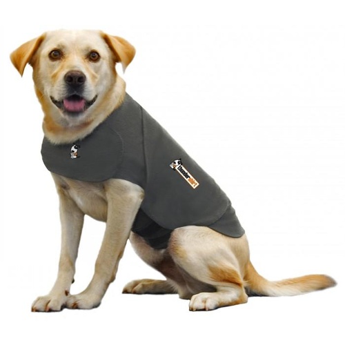Anxiety shirt for dogs sale