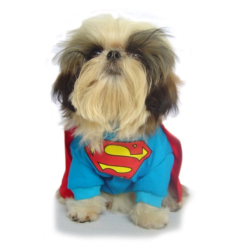 Superman Pet Costume for Dogs