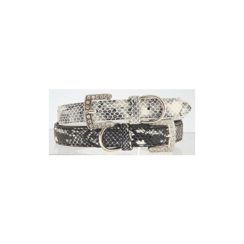 Petissimo Wild Snake Dog Collars - 45cm(Wild Snake 45cm Colour:Cream)