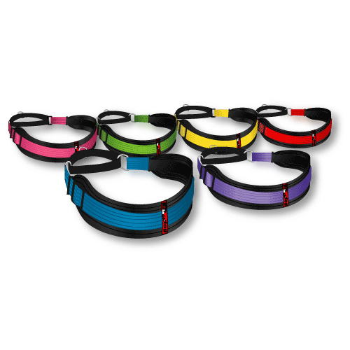 Black Dog Whippet Collar - (28cm-36cm)(Black Dog Whippet Collar Colour:Pink)