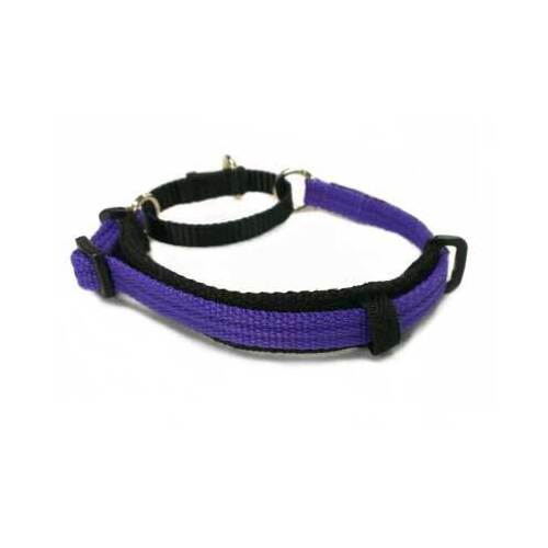 Black Dog Italian Greyhound Collar - (21cm-31cm) (Purple)