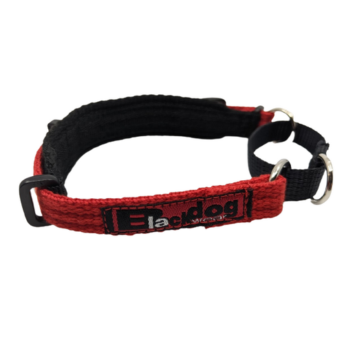 Black Dog Italian Greyhound Collar - (21cm-31cm) (Red)