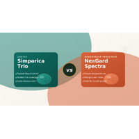 Simparica TRIO vs NexGard Spectra